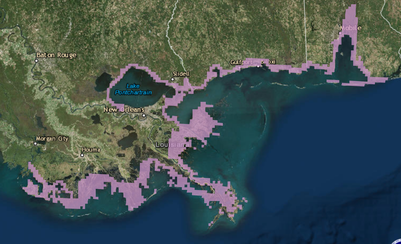 The current storm surge watches in effect along the US Gulf Coast. (Image: NOAA/NHC)